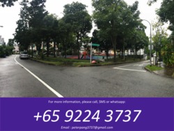 Tai Keng Villas (D19), Terrace #175157622